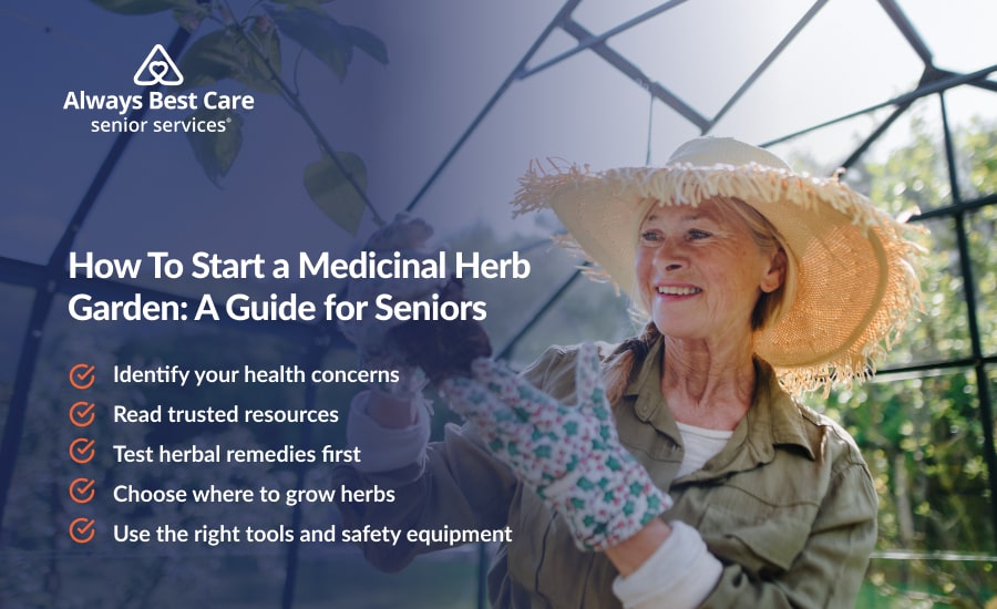 How To Start a Medicinal Herb Garden: Easy Steps for Seniors